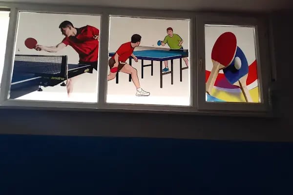 BURSA NİLÜFER MASA TENİSİ SPOR KULÜBÜ VE OKULU - Resim 9