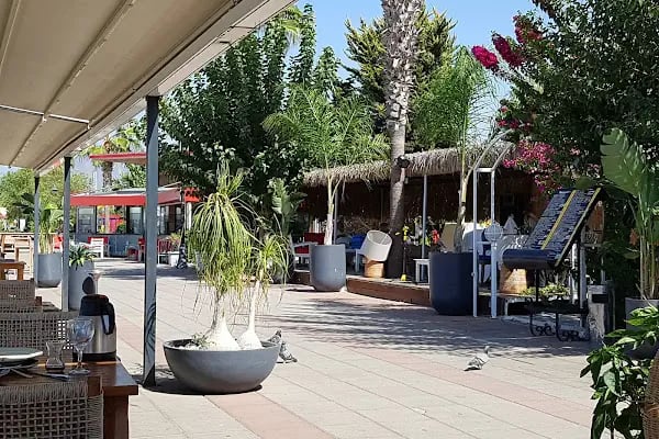 Başaran market &amp; tekel - Resim 1