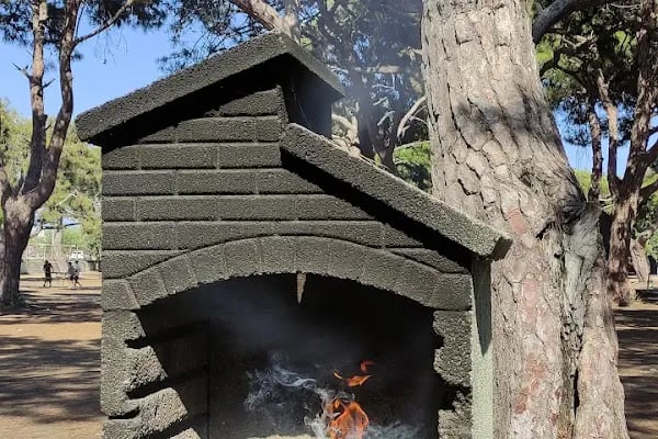 DKMP Erdemli Çamlığı (Talat Göktepe) Tabiat Parkı - Resim 19
