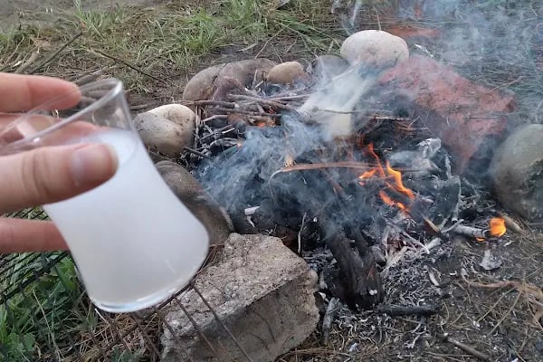 DKMP Erdemli Çamlığı (Talat Göktepe) Tabiat Parkı - Resim 18
