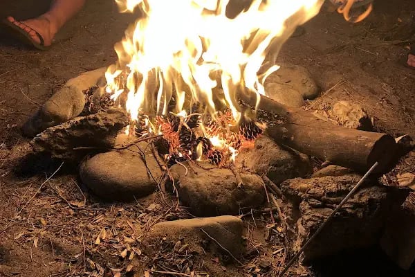 DKMP Erdemli Çamlığı (Talat Göktepe) Tabiat Parkı - Resim 11
