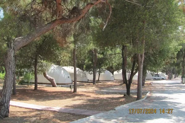 DKMP Erdemli Çamlığı (Talat Göktepe) Tabiat Parkı - Resim 4