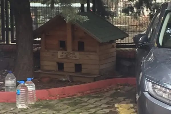 Basın Ve Yazarlar Sitesi - Resim 10