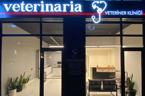 Veterinaria Veteriner Kliniği - Sakarya Adapazarı - Resim 2