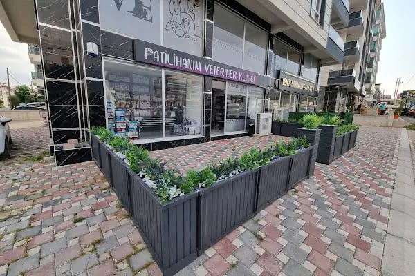 Patilihanım Veteriner Kliniği - Resim 2