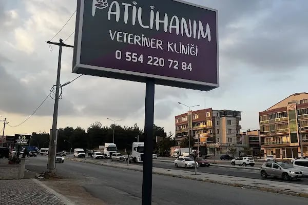 Patilihanım Veteriner Kliniği - Resim 15