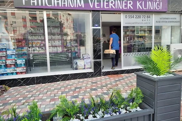 Patilihanım Veteriner Kliniği - Resim 3