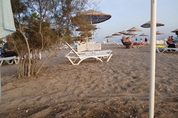Akyarlar Mobil Cafe - Bodrum Belediye A.Ş. - Resim 12
