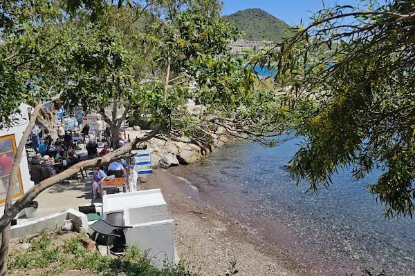 Akyarlar Mobil Cafe - Bodrum Belediye A.Ş. - Resim 13