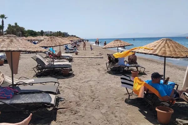 Akyarlar Mobil Cafe - Bodrum Belediye A.Ş. - Resim 18