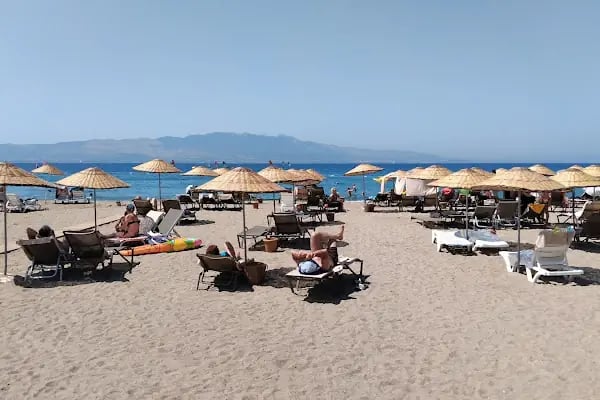 Akyarlar Mobil Cafe - Bodrum Belediye A.Ş. - Resim 4