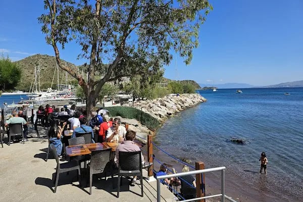 Akyarlar Mobil Cafe - Bodrum Belediye A.Ş. - Resim 10