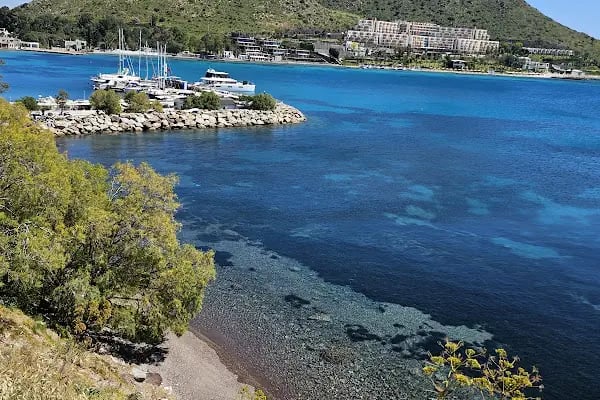 Akyarlar Mobil Cafe - Bodrum Belediye A.Ş. - Resim 3