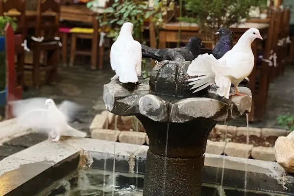 Zinciriye Konağı Kahvaltı Ve Cafe - Resim 14