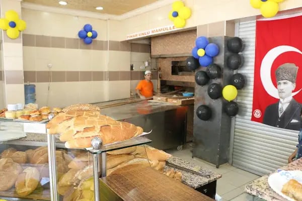 Pınar Ekmek - Resim 13