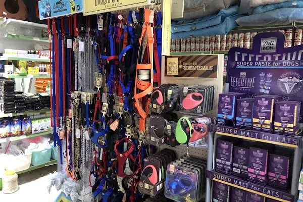 Sevpati Pet (Pet Pansiyon &amp; Pet Kuaför &amp; Pet Shop) - Resim 16