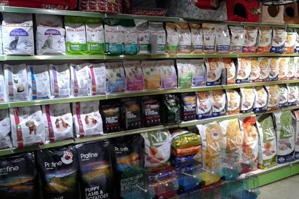 Sevpati Pet (Pet Pansiyon &amp; Pet Kuaför &amp; Pet Shop) - Resim 11