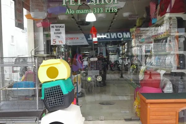 Sevpati Pet (Pet Pansiyon &amp; Pet Kuaför &amp; Pet Shop) - Resim 20