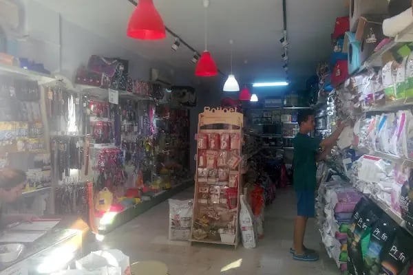 Sevpati Pet (Pet Pansiyon &amp; Pet Kuaför &amp; Pet Shop) - Resim 4