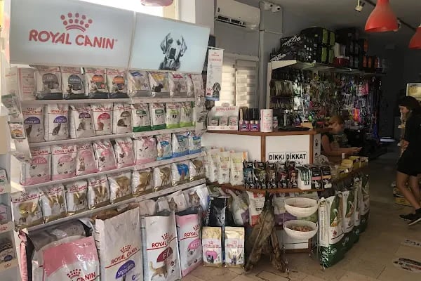 Sevpati Pet (Pet Pansiyon &amp; Pet Kuaför &amp; Pet Shop) - Resim 10