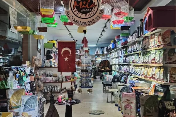 Sevpati Pet (Pet Pansiyon &amp; Pet Kuaför &amp; Pet Shop) - Resim 19