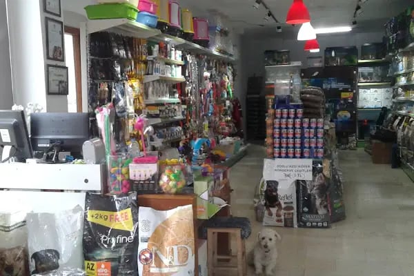 Sevpati Pet (Pet Pansiyon &amp; Pet Kuaför &amp; Pet Shop) - Resim 13