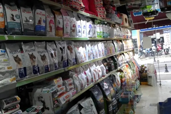 Sevpati Pet (Pet Pansiyon &amp; Pet Kuaför &amp; Pet Shop) - Resim 12