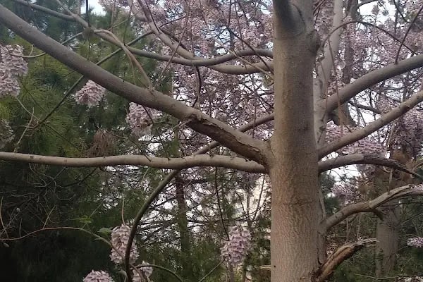 T.C. Bakırköy Belediye Başkanlıği Ataköy 1.Kısım Çocuk Parkı - Resim 2