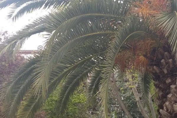 T.C. Bakırköy Belediye Başkanlıği Ataköy 1.Kısım Çocuk Parkı - Resim 3