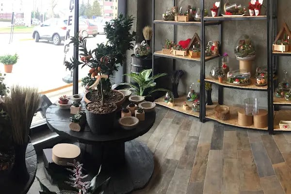 Lotus Çiçek / Lotus Flower Shop - Resim 10