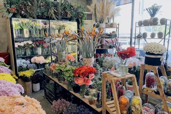 Lotus Çiçek / Lotus Flower Shop - Resim 4