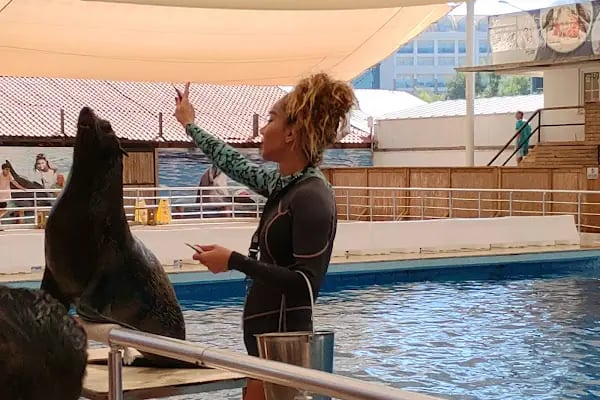 Aksu Dolphinarium / Kundu Antalya - Resim 12