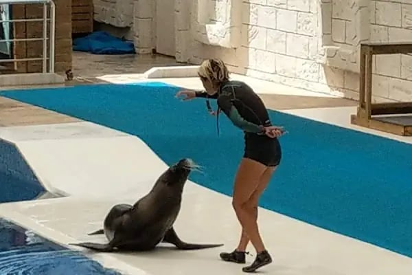 Aksu Dolphinarium / Kundu Antalya - Resim 17