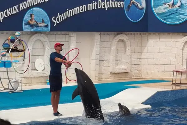Aksu Dolphinarium / Kundu Antalya - Resim 3