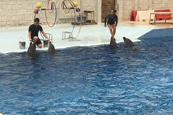 Aksu Dolphinarium / Kundu Antalya - Resim 9