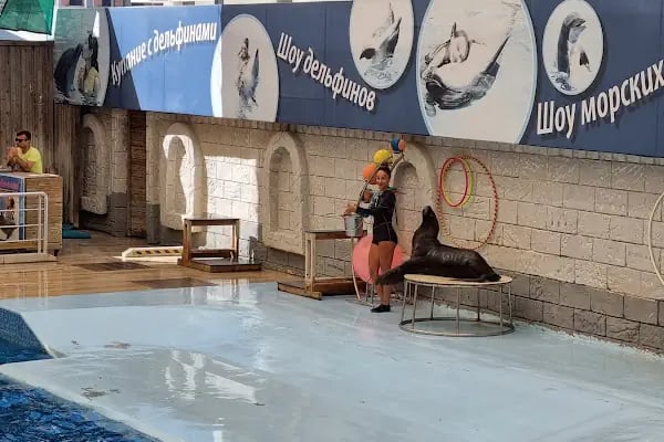 Aksu Dolphinarium / Kundu Antalya - Resim 16