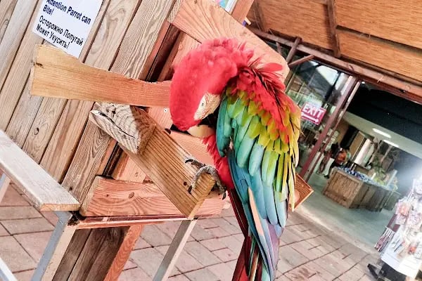 Aksu Dolphinarium / Kundu Antalya - Resim 10