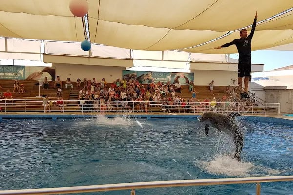 Aksu Dolphinarium / Kundu Antalya - Resim 6
