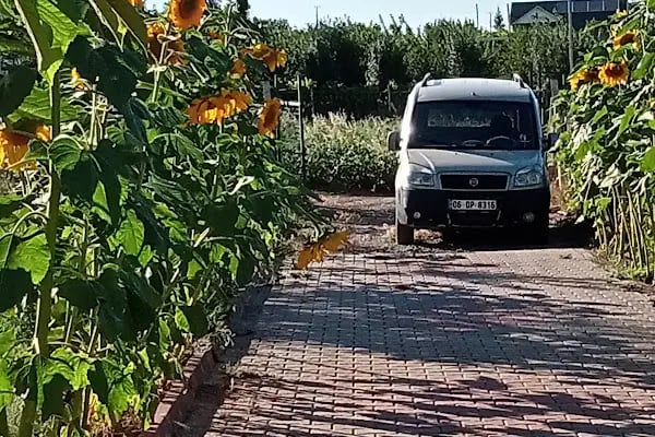 Haşim ustanın yeri - Resim 15