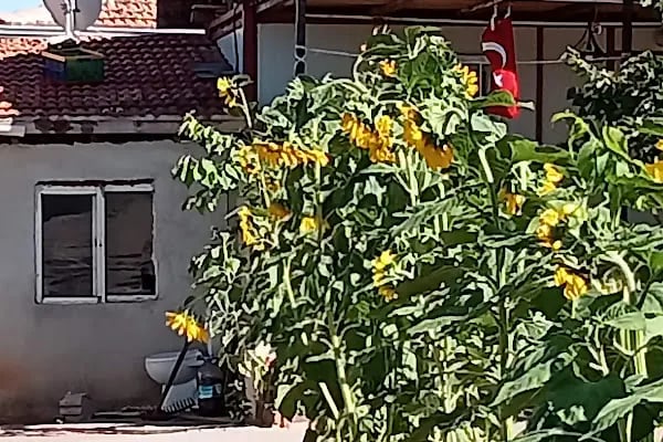 Haşim ustanın yeri - Resim 16
