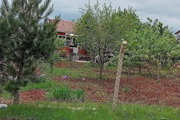 Haşim ustanın yeri - Resim 4