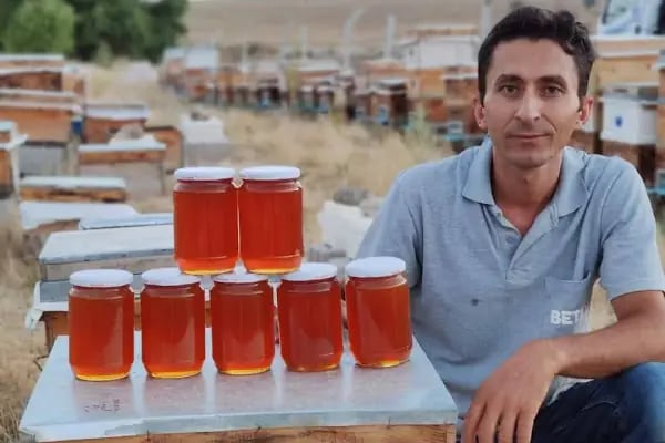 Zengicek Arıcılık - Resim 15