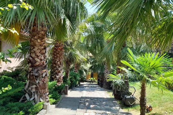 Kantarın Topuzu Ölçü Aletleri Sergisi - Resim 12