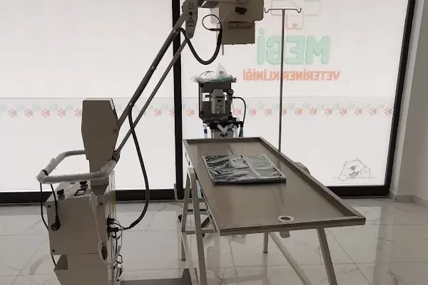 Megi Veteriner Kliniği - Resim 7