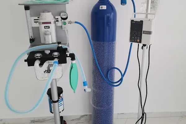 Megi Veteriner Kliniği - Resim 6