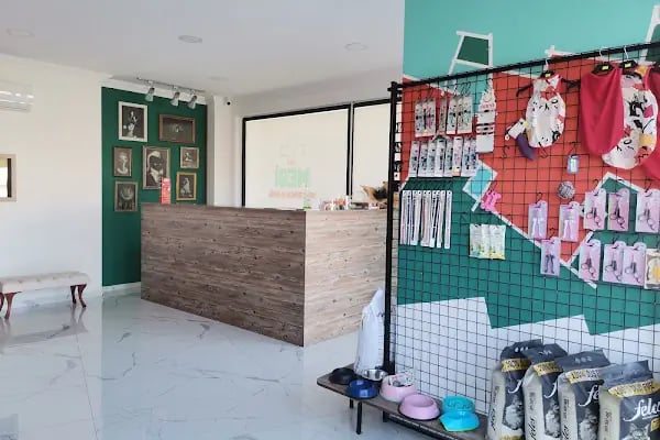 Megi Veteriner Kliniği - Resim 4