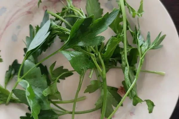 konyalı etli pide ve kebap salonu - Resim 6
