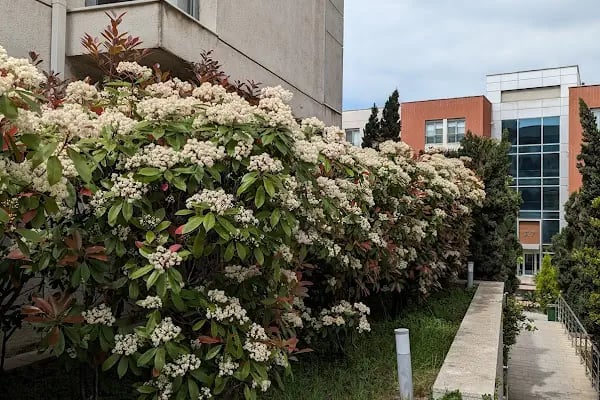 G Marin Club House - Resim 2