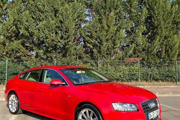 SERİM KARDEŞLER AUTO - Resim 6