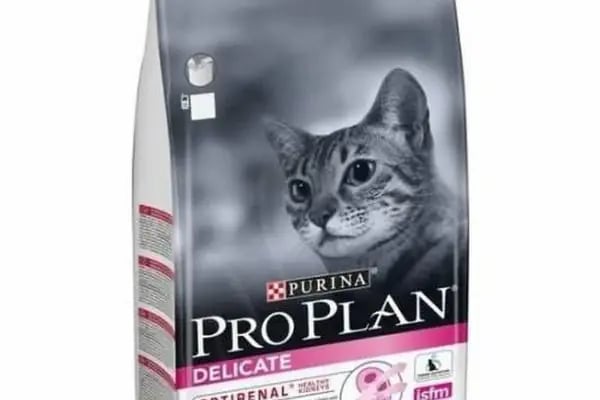 ilkay petshop-pet market - Resim 5